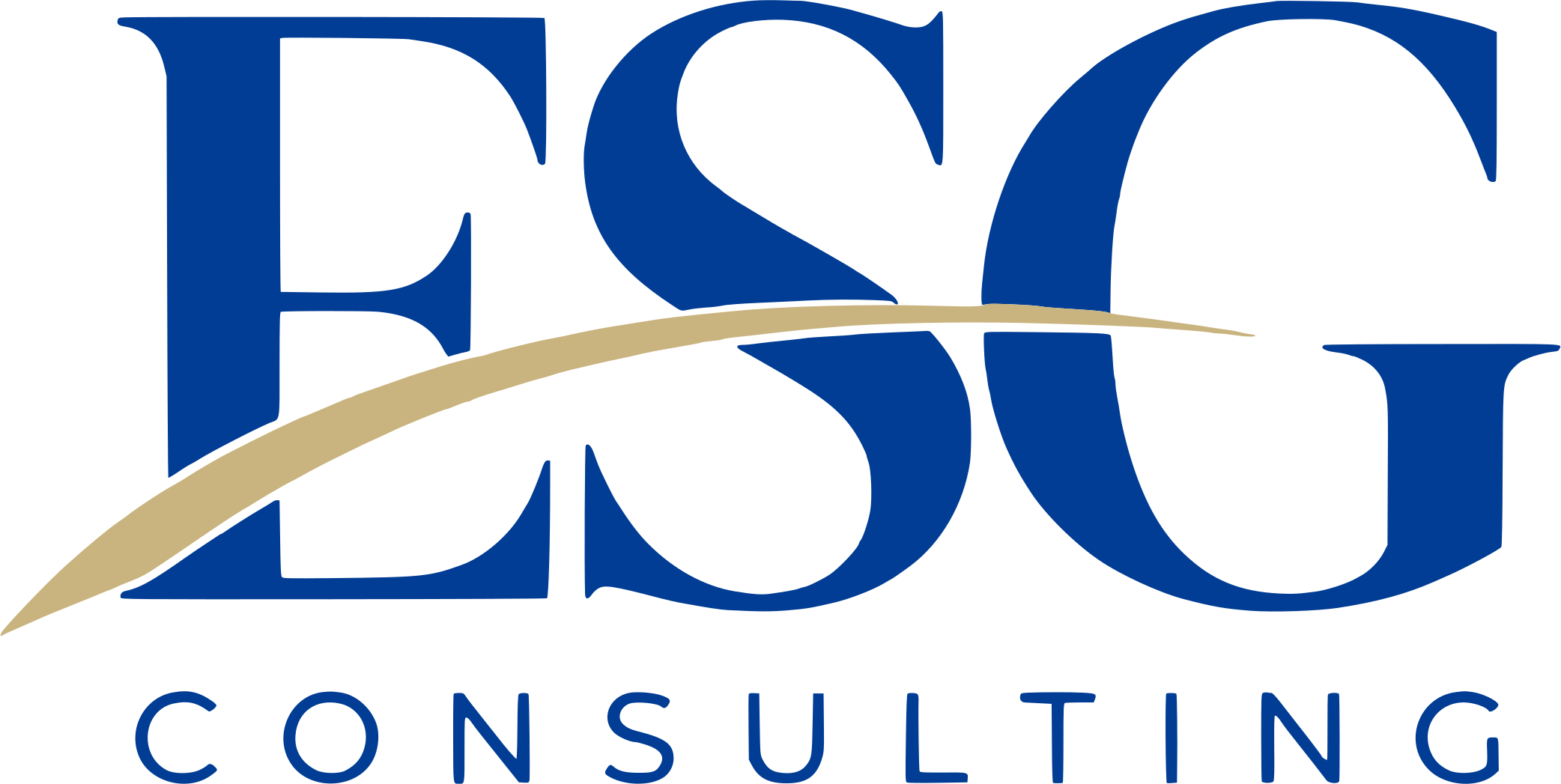 ESG Consulting